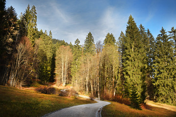 Obraz premium Liderhof Alps Raod Mountains Landscape