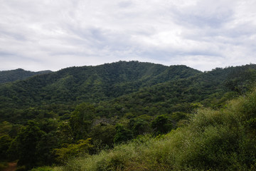 Obraz premium Jungle landscape of Costa Rica