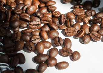 Coffee bean on white paper