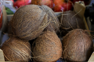 Coconuts in a box for sale at the market.