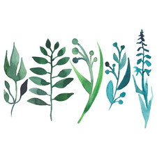 Five beautiful bright green grass isolated watercolor hand sketch