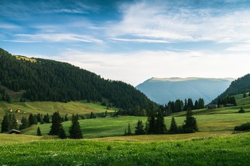 Alpe di Siusi at a Summer Morning