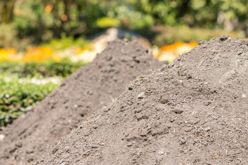 Pile of soil for planting plants.
