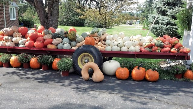 holloween layout before the bon fire in hagerstown md