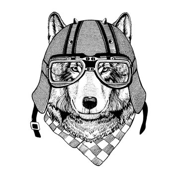 Vintage Image of WOLF for t-shirt design for motorcycle, bike, motorbike, scooter club, aero club