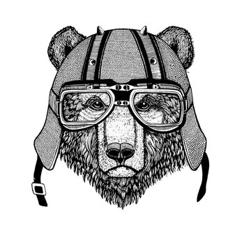 Vintage Image of BEAR for t-shirt design for motorcycle, bike, motorbike, scooter club, aero club
