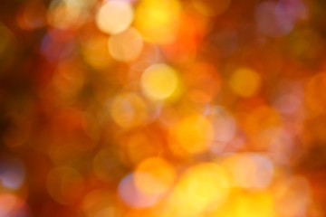 Autumn bokeh background