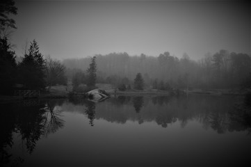 Foggy black & white landscape