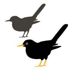 blackbird vector illustration style Flat set silhouette - obrazy, fototapety, plakaty