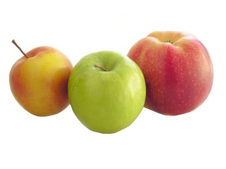 yellow,red and green fruits