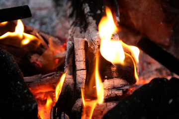 Burning firewood in the fireplace close up