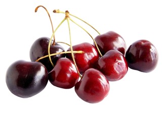 purple and red,ripe,juicy cherries