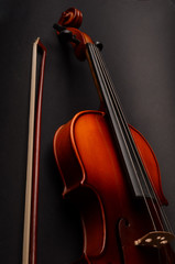 Fototapeta premium Violin