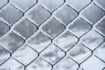 Fototapeta premium In winter