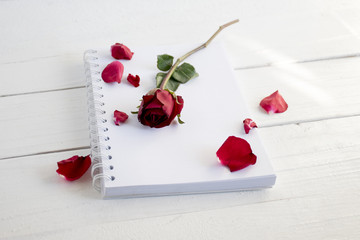 Book with a red rose flower on white table