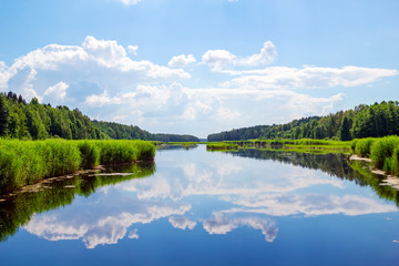 Forest river landscape with clouds reflection in the water.