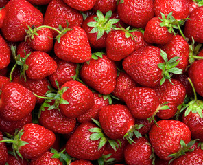 Strawberry background.  Red ripe organic strawberries on market