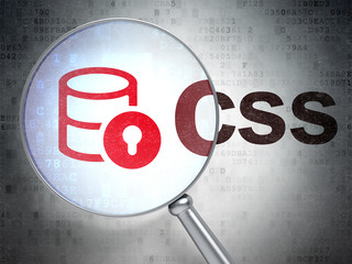 Software concept: Database With Lock and Css with optical glass