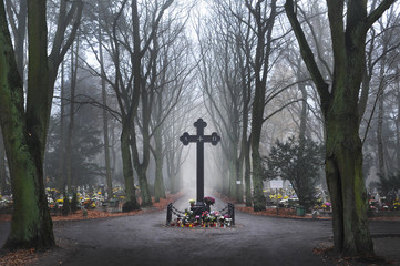 cemetery Szczecin cross road - obrazy, fototapety, plakaty