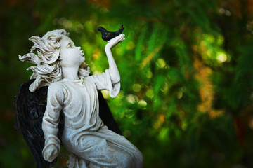 cemetery Szczecin angel grave white