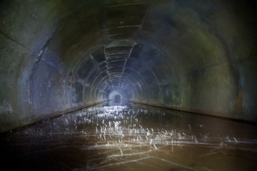 Flooded round sewer tunnel with dirty water and underground plants 