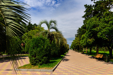 Fototapeta premium Beautiful garden landscape
