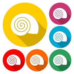 Flat Design Simple Icon - Snail Shell - Illustration