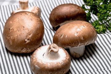 Champignon Braun mit Petersilie - Close up