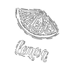 Hand drawn vector illustration Lemon sketch