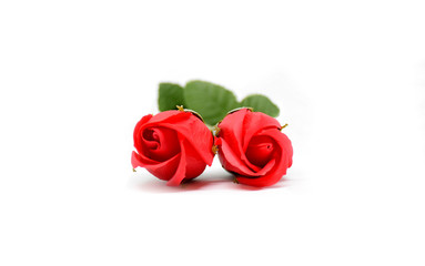 Red roses isolated on the white background