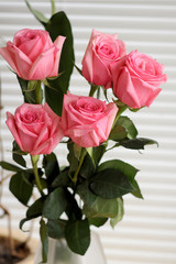 Bouquet of roses 