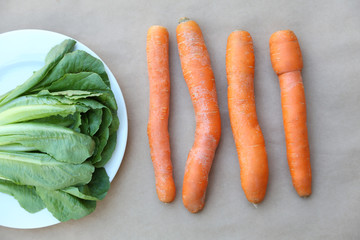 Organic carrots and lettuce with white plate on the table