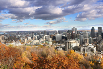 eautiful downtown of Montreal in autumn with yellow and orange trees