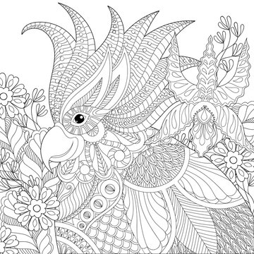 Exotic zentangle cockatoo parrot for adult anti stress coloring
