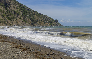 Fototapeta na wymiar Strong surf rolled ashore. Crimea.