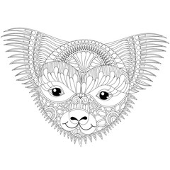 Vector zentangle happy friendly koala face for adult anti stress - 134239050