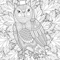 Zentangle Owl painting for adult anti stress coloring page, colo