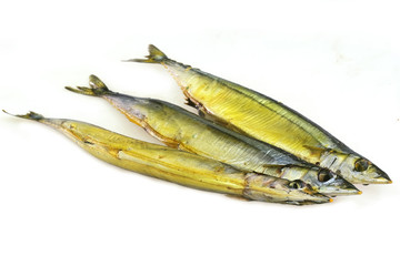 Pacific saury isolated