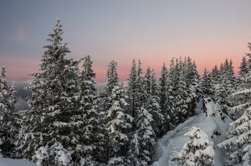 Winter landscape, Poland, mountain forest in the evening