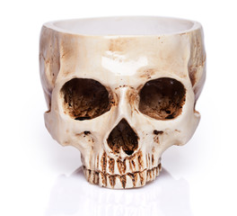 cup of a human skull