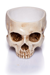 cup of a human skull