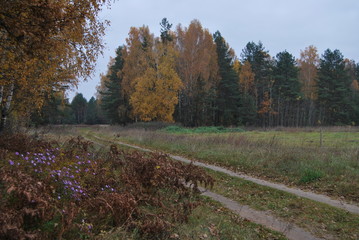 landscape,autumn