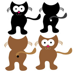 Cats on white background
