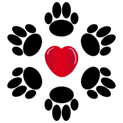 Paws with heart on white background