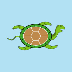 Green turtle isolated on a blue background.