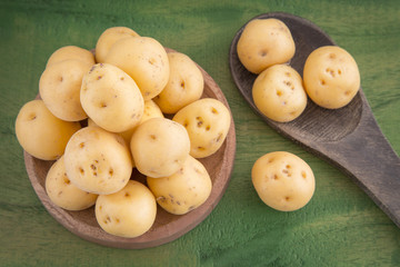 Yellow potato (Solanum phureja)