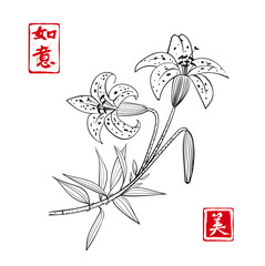 Black-and-white tiger lily on white background Traditional oriental ink painting sumi-e, u-sin, go-hua. Contains hieroglyph - beauty, dreams come true. Lined art illustration.