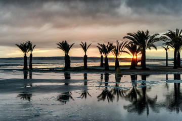 Fototapeta na wymiar Palm trees reflect on flooded beach after storm at sunset