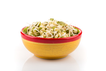 Pea seeds with sprouts close up