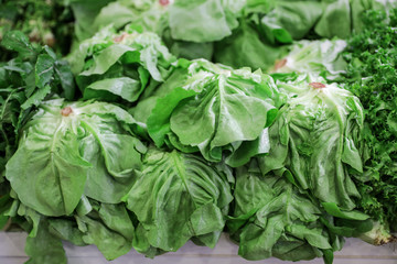 Fresh french lettuce salad leaves.